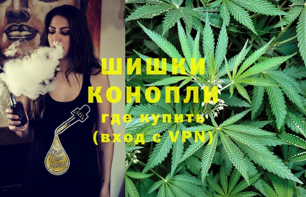 твердый Балахна