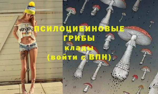 герыч Покровск
