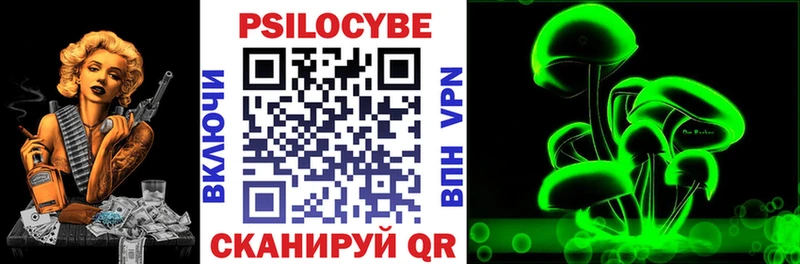 купить закладку  Снежногорск  Галлюциногенные грибы Psilocybine cubensis 