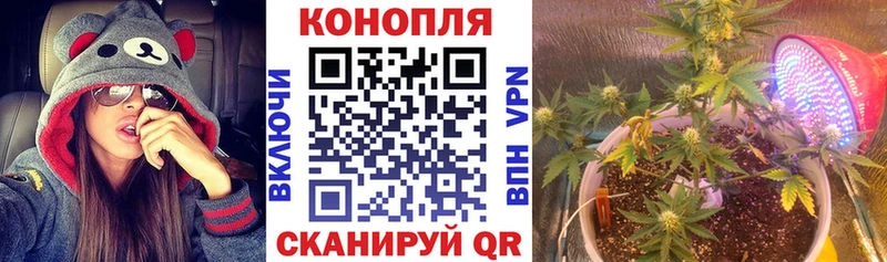 Шишки марихуана SATIVA & INDICA  МЕГА ссылка  Снежногорск 